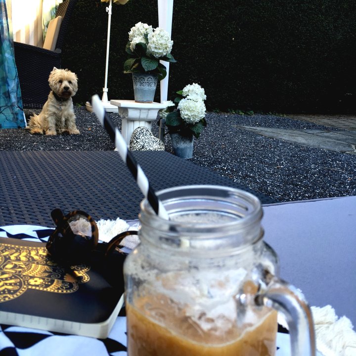 IceCafe_4.jpg