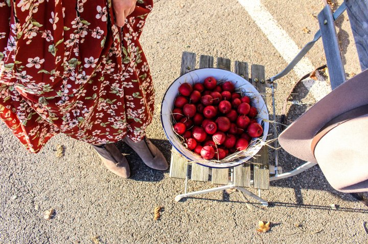 Herbstliche Flower Power