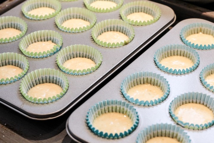 Cupcakes_treeofakind-29